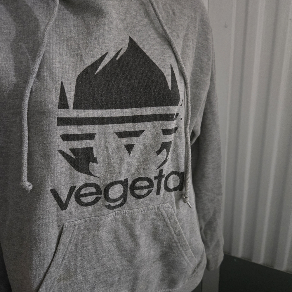 Vegeta Graphic Hoodie in Gray